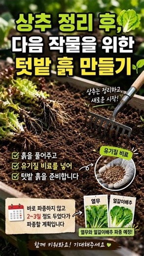 After trimming the lettuce, preparing the garden soil for the next crop #RooftopGarden #Container...