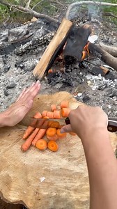 45K views · 201 reactions | the best camping hack! #camping #bonfire | Home Hacks & Easy Snacks | Facebook