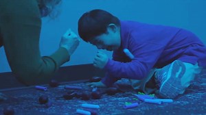 ADMISSIONS - Lipscomb Academy