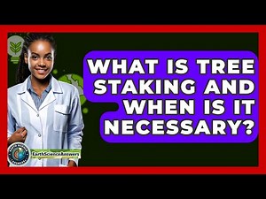 What Is Tree Staking And When Is It Necessary? - Earth Science Answers