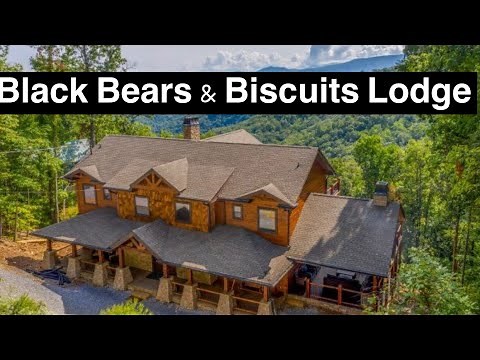 The Most Amazing Cabin In The Great Smoky Mountains’ Black Bears and Biscuits #thesmokymountainlady