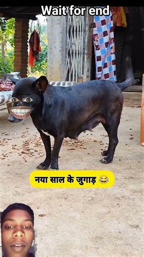 #comedy​ #funny​