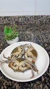 This kind of sauce with fonio😋😍👌 | Konemia