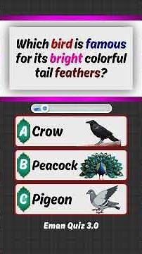 Birds Quiz, Guess the answer, #quiz