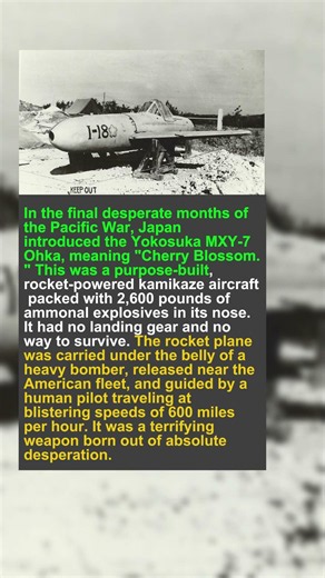 The Human-Guided Rocket Plane of Japan