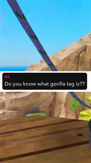 Ai Gtag!! #gtag #gorillatag #gorillatagvr #vr #oculus #oculusquest2 #gtagupdate #gtaghalloweenupdate #monke #funny