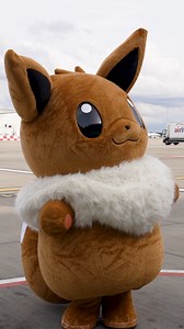 Introducing the Eevee Jet NH! Thanks to the world of Pokémon, ANA brings you new adventures 💙 https://ana.ms/3Q7Feip #Pokémon #PokémonAirAdventures #PikachuJet #EeveeJet | All Nippon Airways