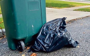 Here’s what you need to know about new trash container rules for some NYC property owners