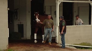 134K views · 9.6K reactions | Justify is headed to Pimlico for the next stop on the Road to the Triple Crown! Go get 'em, Champ!  | Kentucky Derby | Facebook