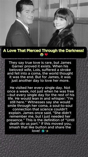 A Love That Pierced Through the Darkness! 😭❤️