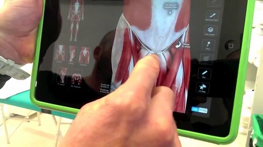 Have you got knee pain cycling? It could be your cleats. - The Body Mechanic