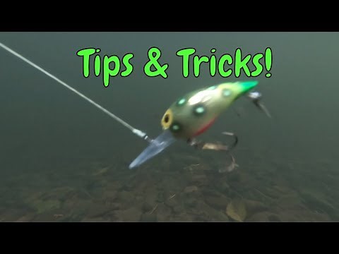 5 Tips For Fishing Brad's Wigglers For Salmon & Steelhead