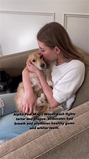 12K views · 214 reactions | Alpha Paw Magic Mouthwash takes care of your puppy breath and dental hygiene! Definitely a game changer!  Check it out now! ➡️ https://pulse.ly/ssbkim3ggl | Sausage Dog Central | Facebook