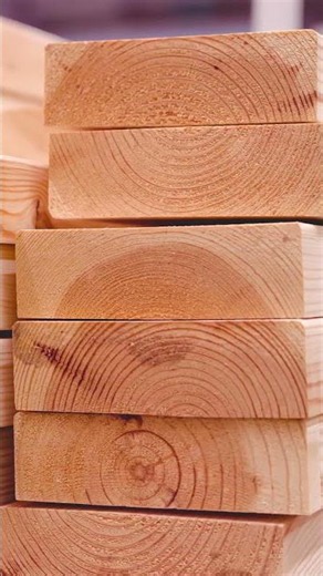Why Pressure-Treated Lumber Is Built for Tough Conditions