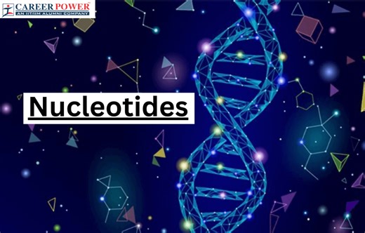 Nucleotide: Definition, Structure, and Functions