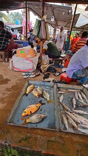 Live Fish Market Alive Fish | Kolkata Fishing