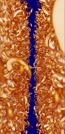 Turbulent Channel Flow Simulation Using a Wall-Modeled Large Eddy Lattice Boltzmann Method