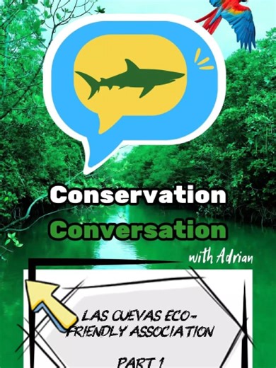 Las Cuevas Eco Friendly Association - Part 1 Meet Arlene Williams, she is the President of the Las Cuevas Eco-Friendly Association. Together with her team, she manages the sea turtle conservation on Las Cuevas Beach in tandem with EMA and Forestry. We talked with Arlene about the origins of her Organization as well hurdles, roadblocks to sea turtle conservation at Las Cuevas. Full interview Available on our Youtube Channel - Conservation Conversation @lascuevasturtletours#trinidadandtobago #seat