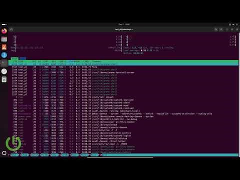 如何在 Linux 上监控进程（ps / top / htop / nvidia-smi）