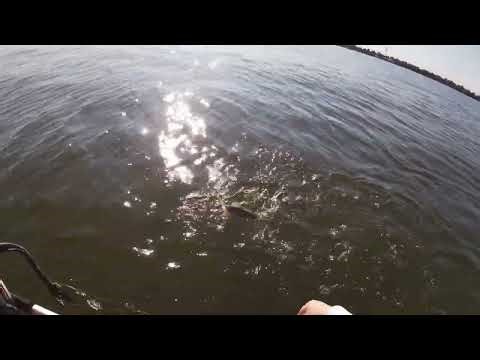 Quick Troll For Walleyes On Lake Winnebago!!!! (Part 1)