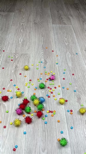 #pet #cute #tiktok #foryou #fyp #edit #short #usa