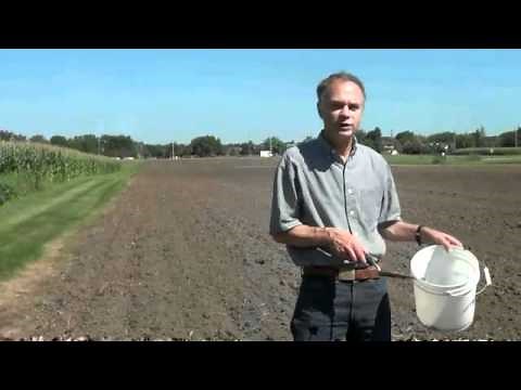 How to take a soil sample