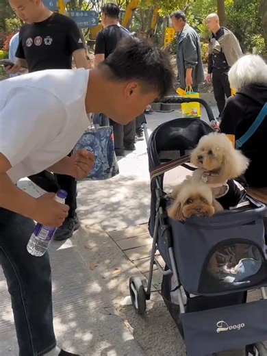 Realistic Animal Sound Prank That Will Make You Laugh