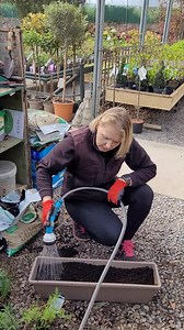 7.4K views · 251 reactions | Jana making a kitchen herb Garden, with approval from our Chef Lucas 綾 | Ratoath Garden Centre | Facebook