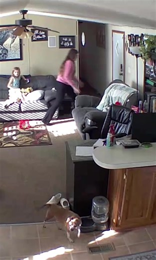 Cat Catches Mouse with Hilarious Speed