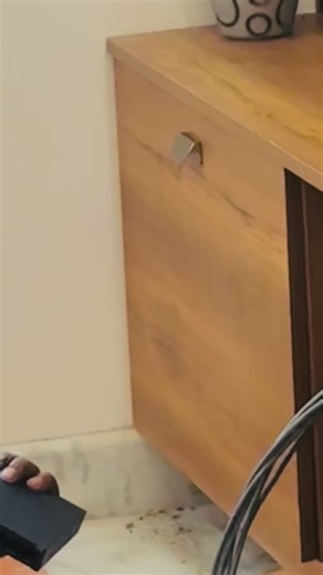 Fortex solution on Instagram: "CCTV ALL CAMERAS🎥 NETWORKING,🌍 BIOMETRIC ATTENDANCE 🌀 VIDEO DOOR PHONE 🚪 EPBX TELEPHONE ☎️ ACCESS POINTS 💻 FOR MAINTENANCE AND INSTALLATION BOOK NOW:9745751497 9656646820"