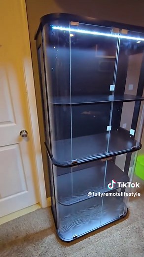 Stylish Glass Display Cabinet for Collectibles and More