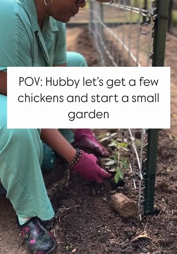 Relatable Gardening Moments and Chicken Coop Tips