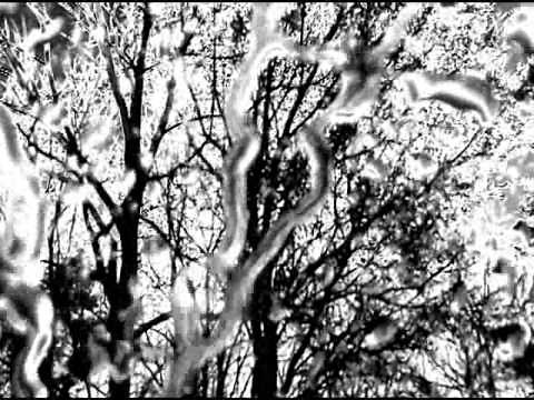 Kathy's Song - Simon and Garfunkel