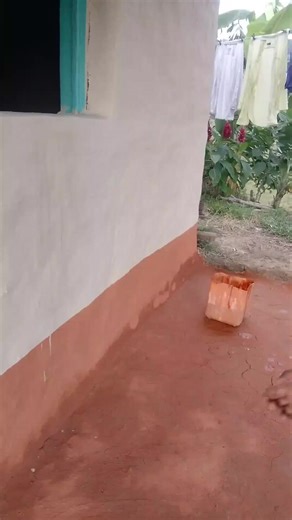 Aseando mi hogar: Tips y trucos de limpieza