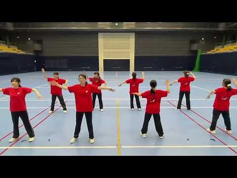 【三好いいじゃんまつり踊り練習用動画】 Just Rollin' その2