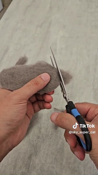 Luke Skywalker Cat: The Sky Cat Phenomenon