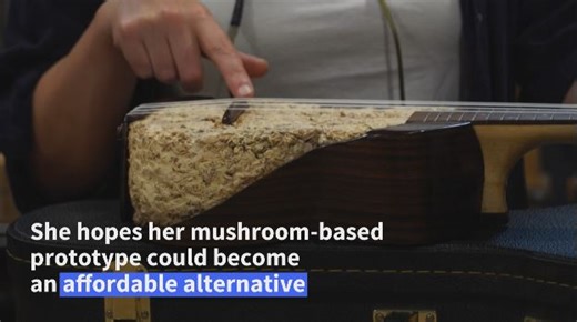 13K views · 127 reactions | Meet the French luthier making music out...