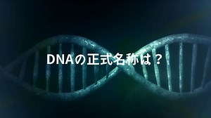 DNAの正式名称は何？