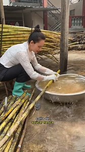 160K views · 2.6K reactions | Cómo se hace el azúcar #azucar #curiosidad #produccion | Entre Emprendedores | Facebook