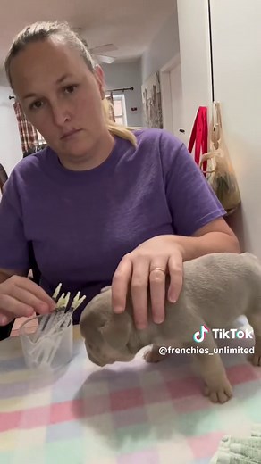 Deworming Puppies with Pyrantel: Step-by-Step Guide