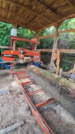 Von 125€ zu 600€? 🪵💰#thewooddude #sägewerk #eiche #wert