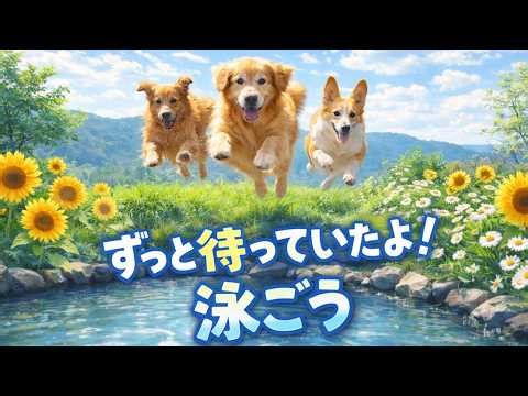 We built a pond to serve as the "heart" of our farm, protecting 34 dogs and cats, and the golden ...