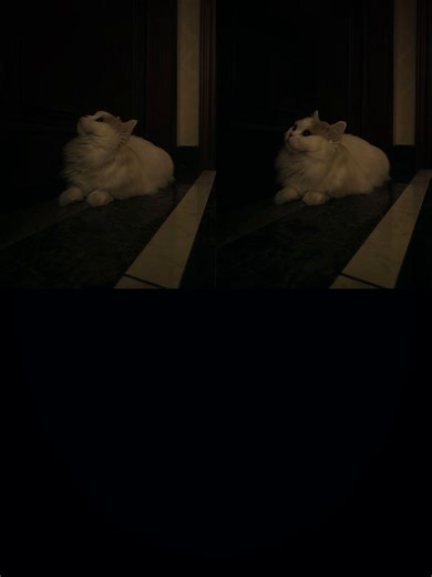 #Biscoitocut #FunkNoCapCut #Funk Hazel Cooking🔥🔥🔥