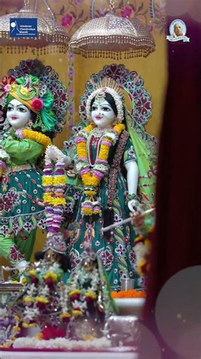 Beautiful darshans of Sri Radha Vrindavanchandra 🙏🏻