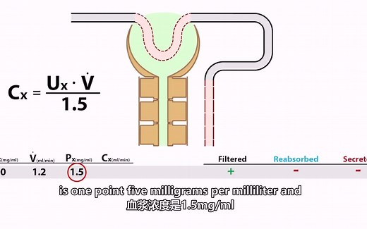 Basic Renal Function_ Clearance and GFR清除率与GFR