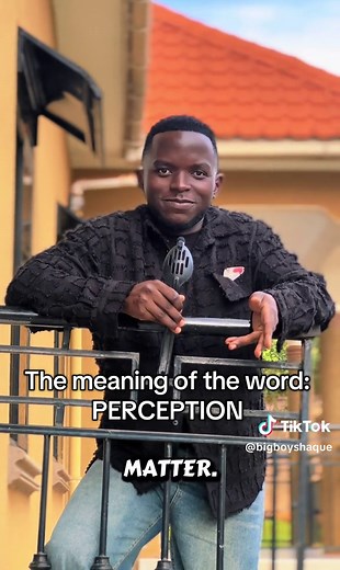 Perception Meaning — Learn English Definition and Examples