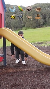 1.4M views · 9.4K reactions | How different animals go down a slide (with emojis) | Jiemba Sands | Facebook