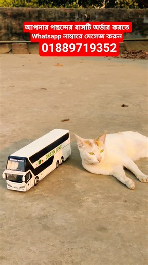 Green line Paribahan 🇧🇩#bus #miniature #shorts #bdbl #viralshorts
