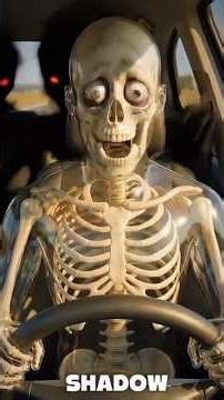 What Happens to Your Body During a 72-Hour Drive? 🚗💀