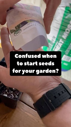 CONFUSED WHEN TO START YOUR SEEDS? These tips should help 👍🌱 . . . #beginnergardener #seedstarting #startingseeds #growyourownfood #organicgardening #homestead #vegetablegarden #veggies #mygarden #homegrown #backyardgarden #growyourown #backyardgardening #growwhatyoueat #eatwhatyougrow #growyourown #thehappygardeninglife #earthnailsandtails #gardentips #howtogrow | Earth, Nails & Tails